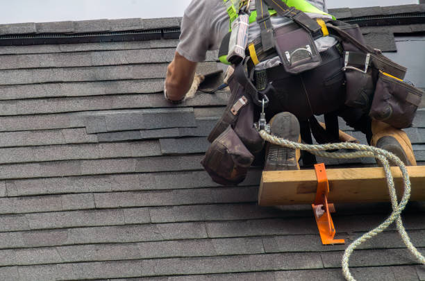 Roof Gutter Cleaning in Coon Rapids, MN