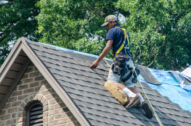 Best Storm Damage Roof Repair  in Coon Rapids, MN